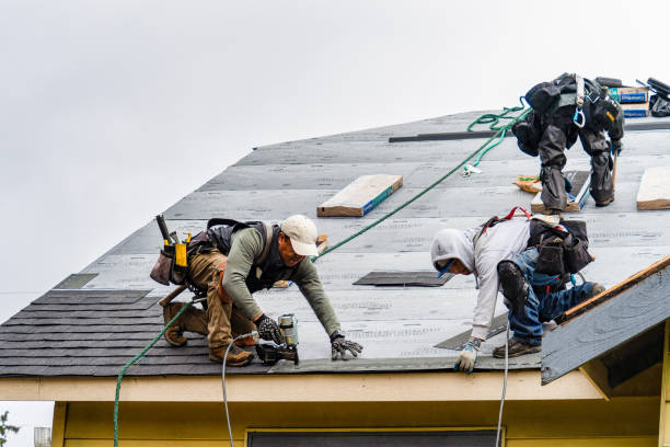 Professional Storm Damage Roof Repair technician working in Clarissa, MN